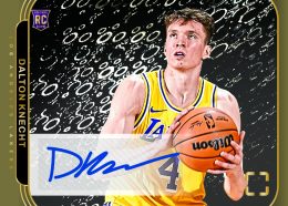 2024-25 Panini PhotoGenic NBA Trading Card Set Review and Checklist 13